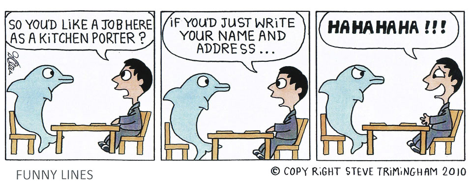 Funny Lines – Dolphin
